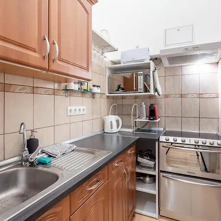 Riverside Cozy And Spacious 公寓 布达佩斯